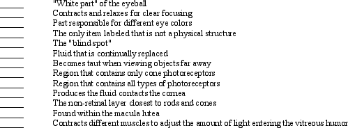 Use the figure above to answer the corresponding questions. Match the following structures with the appropriate letter. Some letters may be used more than once.    <div style=padding-top: 35px> 
