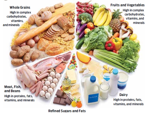 A healthful,well-balanced meal would contain approximately what percentage of each category of food?           A)  50% whole grains; 20% fruits and vegetables; 20% meat, fish, and beans; 10% dairy; and 10% refined sugars and fats B)  25% whole grains; 25% fruits and vegetables; 10% meat, fish, and beans; 15% dairy; and 10% refined sugars and fats C)  40% whole grains; 20% fruits and vegetables; 15% meat, fish, and beans; 15% dairy; and 10% refined sugars and fats D)  30% whole grains; 30% fruits and vegetables; 15% meat, fish, and beans; 15% dairy; and 10% refined sugars and fats E)  20% whole grains; 50% fruits and vegetables; 15% meat, fish, and beans; 15% dairy; and 10% refined sugars and fats 