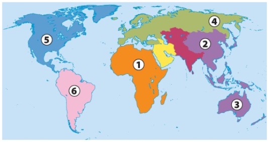   -The map illustrates the positions of human populations as they existed 5,000 years ago (i.e.,after they migrated out of Africa and were well established in their environments) .In which populations would skin color have been darkest? A)  1, 2, and 3 B)  1, 2, and 5 C)  1, 3, and 4 D)  1, 5, and 6 E)  1, 3, and 6 