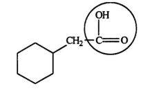 Identify the functional group circled.   A) aldehyde B) ketone C) alcohol D) ester E) carboxylic acid