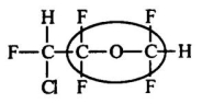 Enflurane is an effective gaseous anesthetic with relatively low flammability.Identify the functional group circled.   A) aldehyde B) ketone C) ester D) ether E) alcohol