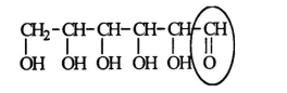 Glucose is an important sugar in a person's metabolic cycle.Identify the functional group circled.   A) aldehyde B) ketone C) alcohol D) ester E) carboxylic acid