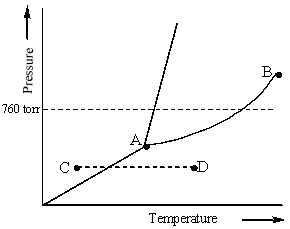 Examine the phase diagram for the substance Bogusium (Bo)  and select the correct statement.   A)  Bo(s)  has a lower density than Bo(l) . B)  The triple point for Bo is at a higher temperature than the melting point for Bo. C)  Bo changes from a solid to a liquid as one follows the line from C to D. D)  Bo changes from a liquid to a gas as one follows the line from C to D. E)  Point B represents the critical temperature and pressure for Bo.