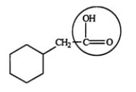 Identify the functional group circled.   A)  aldehyde B)  ketone C)  alcohol D)  ester E)  carboxylic acid