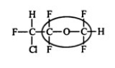 Enflurane is an effective gaseous anesthetic with relatively low flammability. Identify the functional group circled.   A)  aldehyde B)  ketone C)  ester D)  ether E)  alcohol