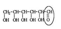 Glucose is an important sugar in a person's metabolic cycle. Identify the functional group circled.   A)  aldehyde B)  ketone C)  alcohol D)  ester E)  carboxylic acid
