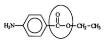 <strong>Benzocaine is from a family of chemicals that are good local anesthetics. Identify the functional group circled. </strong> A) aldehyde B) ketone C) ester D) carboxylic acid E) carbonyl