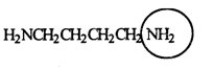 <strong>Putrescine is produced during the decay and protein breakdown of meats and is responsible for some of the odor found in them. Identify the functional group circled. </strong> A) aldehyde B) ketone C) amide D) nitrile E) amine