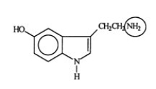 Serotonin transmits nerve impulses through the body. Identify the functional group circled.   A)  aldehyde B)  alcohol C)  amide D)  amine E)  nitride