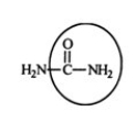 <strong>Urea carries waste nitrogen from the body in urine. Identify the functional group circled. </strong> A) aldehyde B) alcohol C) carboxyl D) amine E) amide