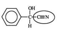 The millipede ejects the compound shown below to protect itself from its enemies. Identify the functional group circled.   A)  nitrile B)  alcohol C)  amide D)  amine E)  nitro