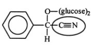 Amygdalin (Laetrile)  was once touted for its potential anticancer activity. However, the claims were never scientifically verified. Identify the functional group circled.   A)  carbonite B)  ether C)  amide D)  amine E)  nitrile
