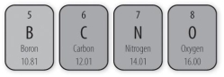 The electronegativity of an atom is determined by how strongly outermost electrons are pulled toward the nucleus.Somewhat like gravity,the electronegativity will be stronger in atoms with larger nuclei and closer outermost electrons.Which element has the strongest electronegativity?   A) Boron B) Carbon C) Nitrogen D) Oxygen