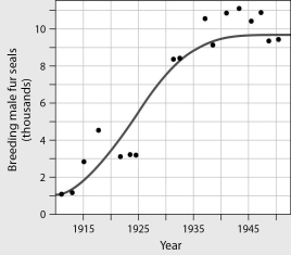 When did male fur seals reach carrying capacity?   A) 1915 B) 1930 C) 1940 D) 1950
