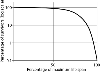 This graph represents three different populations.Use it to answer the following questions.    -Which of the following choices matches this figure?   A) Dolphins produce only single offspring at a time and provide parental care for many months. B) During  mating frenzies,  male and female squid aggregate and release hundreds of eggs and sperm into the water column.The fertilized eggs are often quickly preyed on by fish. C) The century plant grows for many years and reproduces and releases hundreds of seeds just once before it withers and dies.Because of the dry desert environment in which it lives,many of the seeds do not survive or are eaten. D) In some species of lizards and rodents,survivorship is constant over the life span.
