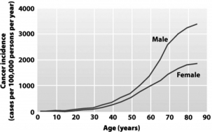 Examine the following graph.This graph shows that the   A)  rate of cancer diagnosis increases for both genders with increasing age. B)  mortality rate for cancer increases more rapidly in older men than in older women. C)  probability of acquiring cancer for both genders becomes greater than 50 percent after age 80. D)  majority of individuals living to age 80 or beyond will be diagnosed with cancer.