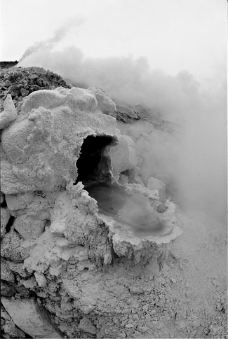 The following photograph shows Sulfolobus,an archaean that lives in environments with very high temperatures.   What hypothesis can explain the extreme habitats of the archaeans? A)  They came to Earth from other planets, where harsher conditions prevail. B)  They would be more widespread but are unable to successfully compete with bacteria and now occupy habitats where bacteria cannot live. C)  Archaeans evolved earlier than bacteria when Earth was much less hospitable and are now relegated to those habitats most similar to early Earth. D)  Archaeans evolved after all the more hospitable habitats were populated with protists.