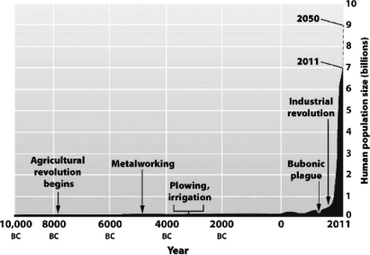 The following figure shows that the human population was small and relatively stable for nearly 12,000 years but has increased dramatically in the past 200 years.   How might this increase in population growth be explained? A)  Effective methods of intercontinental travel permitted humans to immigrate to locations better suited to support larger populations. B)  For most of human history, people were too malnourished to have many children. C)  People simply chose to have fewer children and smaller families in the past than at present. D)  Prior human populations were at existing carrying capacities, but newly developed technologies have raised the carrying capacity and permitted the recent expansion.