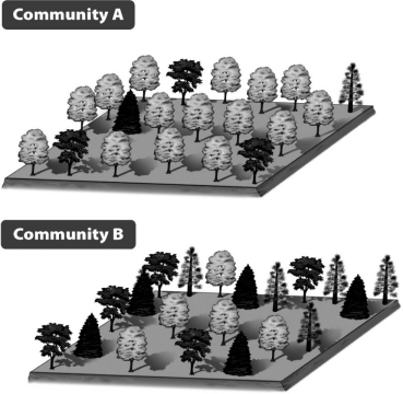 In comparing Communities A and B below,the major difference between them is that they differ in   A)  species richness. B)  relative species abundance. C)  that Community A has more primary producers than does Community B. D)  that Community B has more primary producers than does Community A.