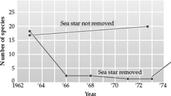 As shown in the following graph,selected intertidal communities along the Washington coast changed when the sea star Pisaster ochraceus was removed.After 10 years,how did those communities compare to control communities?   A)  The communities were statistically indistinguishable from one another. B)  Without sea stars, the total number of species declined. C)  Other predatory sea stars replaced Pisaster. D)  Some populations declined, but species diversity was unaffected.