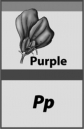 The plant shown in the following image would be considered a hybrid.   