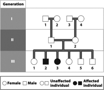 The following figure contains a pedigree for cystic fibrosis,an autosomal recessive disorder.Which of the following is true?   A)  At least two of the members of Generation I are carriers of cystic fibrosis. B)  None of the members of Generation II is a carrier of cystic fibrosis. C)  Individual 2 in Generation II has cystic fibrosis. D)  The cystic fibrosis gene is found on a sex chromosome.
