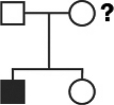 This pedigree diagrams an X-linked gene.The individual indicated by the question mark is ________ for the gene.   A)  heterozygous B)  homozygous C)  autosomal D)  There is not enough information to determine the answer.