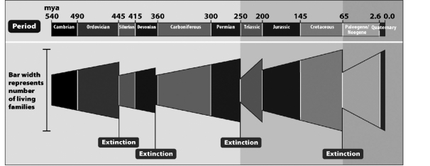 <strong>The following figure shows the number of living taxonomic families that existed on Earth during the last 540 million years.The sudden decreases in family numbers at 445,360,250,200,and 65 million years ago represent Earth's five mass extinction events.Based on these data,which mass extinction had the biggest impact on the overall diversity of life on Earth?  </strong> A) 200 million years ago B) 250 million years ago C) 360 million years ago D) 445 million years ago <div style=padding-top: 35px> 