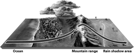 The following figure illustrates the rain shadow effect.   What best explains why the leeward side of the mountain experiences less rainfall? A)  The air mass simply has no more moisture;it was all released on the windward slope. B)  The mountain range is too tall for the clouds to pass. C)  Cold air on the windward side causes the clouds to sink before they cross the mountain range. D)  The leeward side is so warm that the moisture falling from the clouds evaporates before it hits the ground.