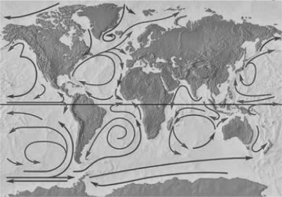Some floating plastic toys were released accidentally in the Pacific Ocean in 1992 and were seen in the North Atlantic in 2000 near where the Titanic sank off Newfoundland.Given the general ocean currents in the Atlantic,where would you most likely expect these toys to appear next?   A)  on the east coast of South America B)  on the west coast of southern Africa C)  on the west coast of Britain D)  in the Caribbean Ocean