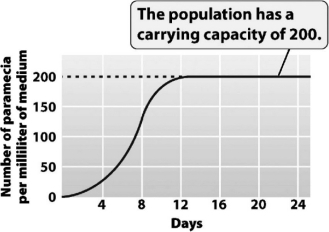 The following graph shows the growth of a Paramecium population.   The greatest amount of daily growth occurred when the population was at approximately ________ percent of its carrying capacity. A)  10 B)  25 C)  50 D)  100
