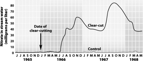 In the Hubbard Brook Experimental Forest in New Hampshire,a portion of the forest was first clear-cut,then sprayed with herbicides for 3 years to prevent growth.A second portion of the forest was not clear-cut or sprayed and served as a control plot.The following graph shows that nitrate,a form of nitrogen that is important to plants,was lost from the ecosystem in streams at a much higher rate in the clear-cut portion of the forest than in the control portion.   What best explains the small releases of nitrogen from the control portion of the forest at the Hubbard Brook Experimental Forest? A)  Its nitrogen was sequestered in the forest biomass and temporarily unavailable. B)  With intact vegetation to intercept the acid rain that falls in the area,it failed to reach the soil and chemically react to release the nitrogen. C)  With intact vegetation,rainwater washed little soil and nitrogen from the forest floor. D)  Pesticides from the clear-cut areas seeped into the control area.