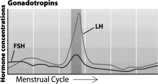 The graph below shows the levels of gonadotropins throughout the menstrual cycle.     The darker gray region of the graph corresponds to the period when ________ occurs in the ovaries.