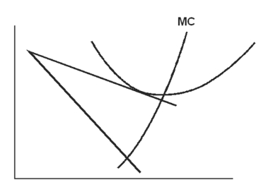    -The graph above shows a monopolistic competitor A) in the short run taking a loss. B) in the short run making a profit. C) in the long run breaking even. D) in the long run taking a loss.