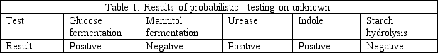 A recently isolated microbe was determined to be a Gram + rod by dichotomous key testing and probabilistic testing was ordered for this bacteria. What is the probability score that this bacteria is a Bacillus species based on the results given in Tables 1 and 2 below?     A)  1.0 × 10<sup>-1</sup> B)  5.7 × 10<sup>-1</sup> C)  2.2 × 10<sup>-2</sup> D)  1.3 × 10<sup>-6</sup> E)  6.3 × 10<sup>-6</sup> 