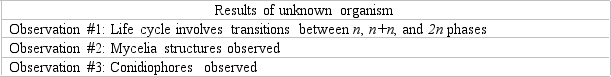 Based on the criteria given in the table below, where should this newly discovered organism be placed?   A)  Ascomycota B)  Zygomycota C)  Basidiomycota D)  Chytridiomycota E)  Microsporidia