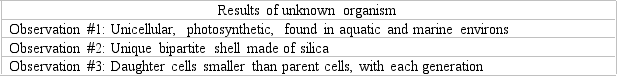 Based on the criteria given in the table below, where should this newly discovered organism be placed?   A)  brown algae/kelps B)  Foraminiferans C)  diatoms D)  Amebas E)  Microsporidia