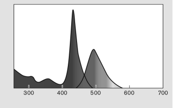The figure below displays absorption and emission spectra for a fluorophore. Describe the difference between absorption and emission and how this is reflected in the figure.