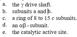 The Fₒ portion of Escherichia coli ATP synthase that rotates while translocating protons is  <div style=padding-top: 35px> 
