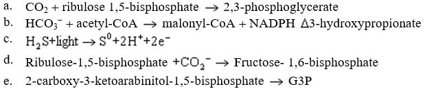 Rubisco catalyzes which of the following reactions?