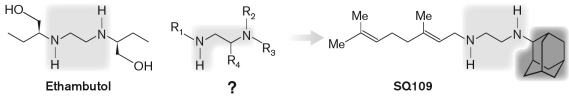 Use the figure below and find the INCORRECT statement regarding the development process for the antituberculosis compound SQ109.   A)  The question mark (?)  indicates to the general formula for 62,238 compounds made in a combinatorial library of ethambutol derivatives. B)  The yellow highlighted portion of the molecules correspond to the ethambutol diamine core. C)  All 63,238 diamine molecules in the combinatorial library were tested in tissue culture, activity in infected macrophages and in live animals. D)  Out of 69 compounds showing the best activity against Mycobacterium tuberculosis, SQ109 had the greatest efficacy and fewer side effects. E)  Out of 63,238 diamine molecules in the combinatorial library, 2,796 showed activity against Mycobacterium tuberculosis in vitro.