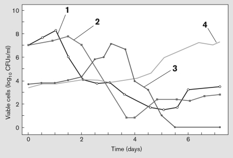 The figure below represents microbial growth (CFUs/mL) during the very early stages of chocolate production. Use the numbers to describe the microbial succession involved in the complex fermentation of cocoa pulp.   