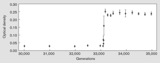 The Long-Term Evolution Experiment (LTEE) has been conducted by Richard Lenski at Michigan State University since 1988. The purpose of the experiment is to observe evolution in action in a laboratory environment. Use the figure below to explain what physiological adaptations allowed one of the Escherichia coli strains to grow to a much higher density after 33,000 generations.   