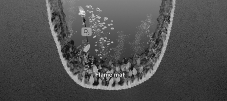 <strong>The flame-like vertical forms and breakaway pieces of mat in ice-covered Antarctic lakes are caused by </strong> A) limited light penetration in the lake. B) denitrification. C) sulfur-reducing bacteria. D) oxygen production. E) freeze-thaw cycles.