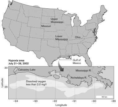 What is the cause of the highlighted zone with dissolved oxygen less than 2.0 mg/l?   A)  high carbon and nitrogen concentrations B)  high iron concentrations C)  low oxygen concentrations D)  high phosphorus concentrations E)  the Deepwater Horizon oil spill
