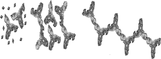 <strong>What process is shown in the figure below? </strong> A) elicitation of an immune response B) haptens C) immunoprecipitation D) antibodies preventing attachment E) basic antibody structure