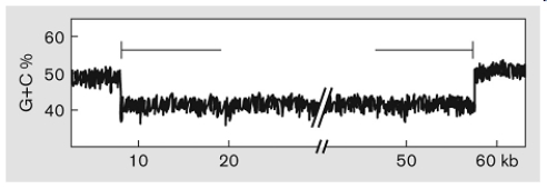 Describe what is occurring in the figure below.   