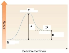 In the energy diagram shown below, C labels the _____.  