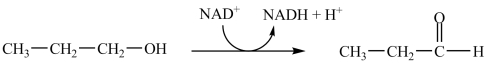 <strong>Which enzyme is capable of catalyzing the reaction shown?  </strong> A)propanol kinase B)propanol isomerase C)propanol dehydrogenase D)propanol carboxylase <div style=padding-top: 35px> 