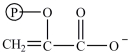 <strong>Step [9] in glycolysis, shown below, involves the dehydration of 2-phosphoglycerate. What is the structure of the dehydration product?  </strong> A)   B)   C)   D)   <div style=padding-top: 35px> 